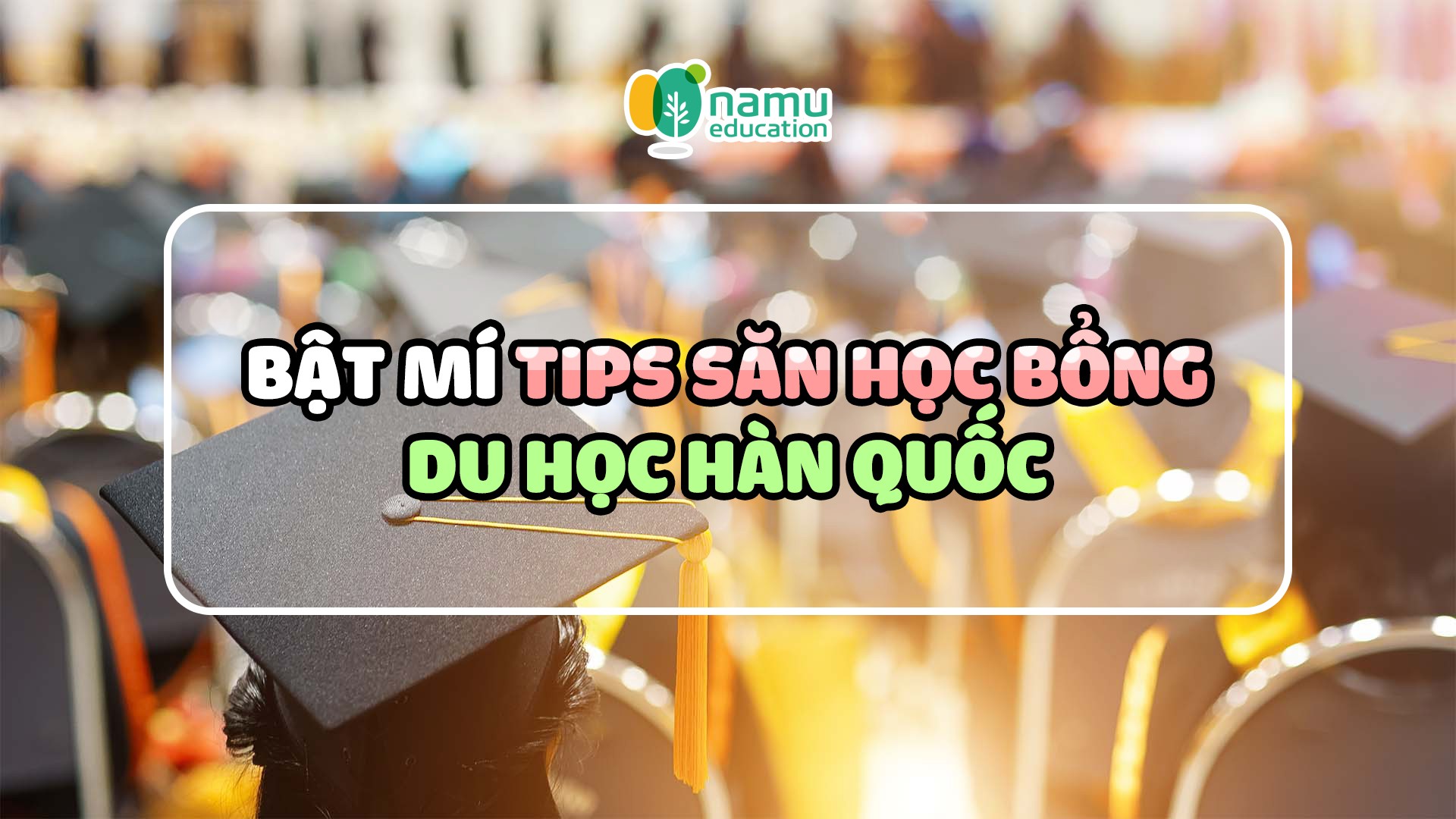 Bật mí tips săn học bổng du học Hàn Quốc