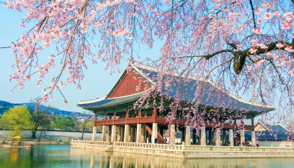 Chứng minh tài chính như thế nào khi du học Hàn Quốc? Chứng minh tài chính du học Hàn Quốc