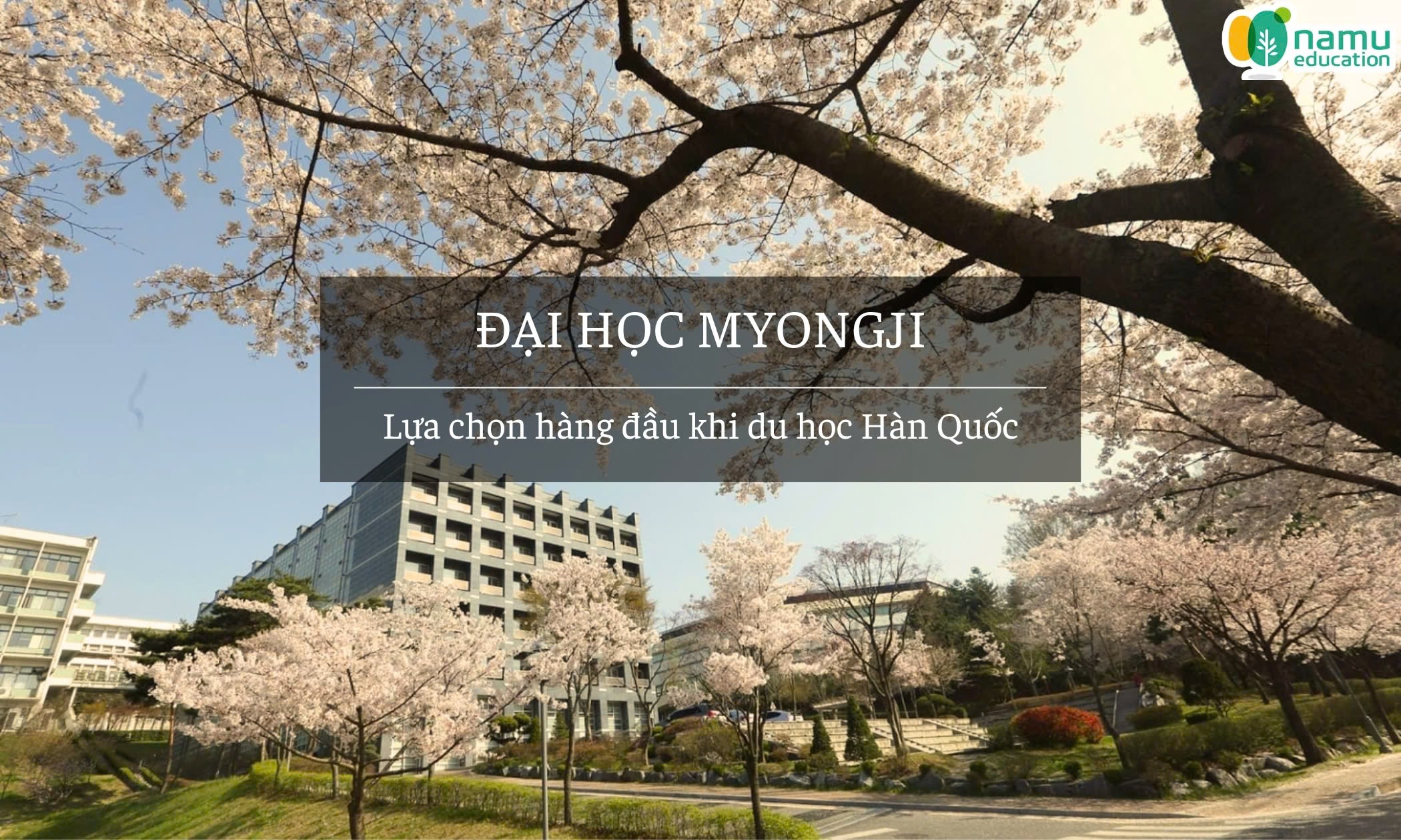 Đại học Myongji: Du học Hàn Quốc – Lựa chọn hàng đầu