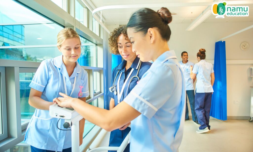 Du học Hàn Quốc ngành điều dưỡng: Cơ hội mới với 24 trường được chỉ định ngành điều dưỡng tại Hàn Quốc