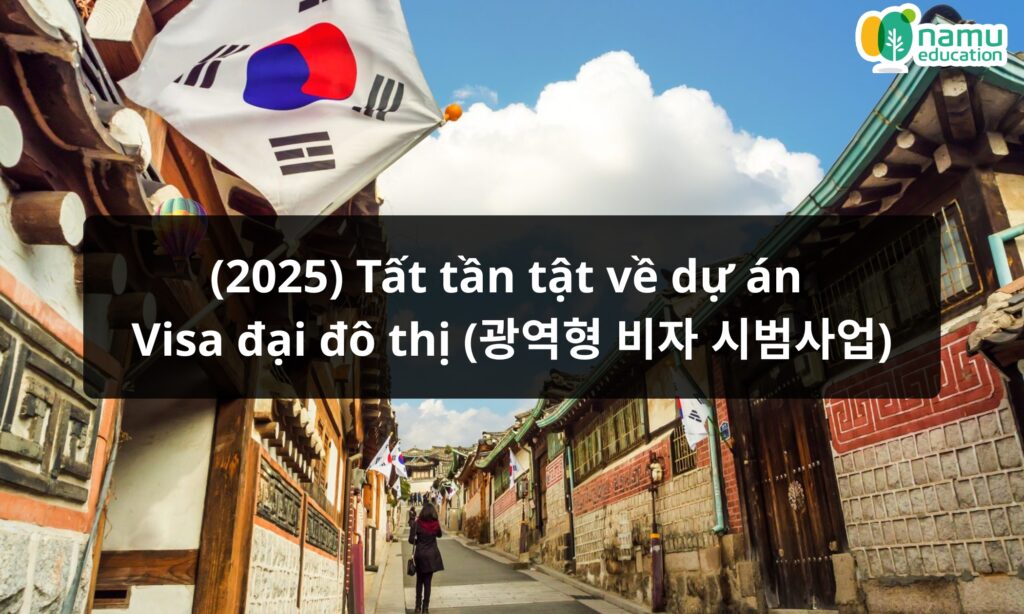 Visa đại đô thị