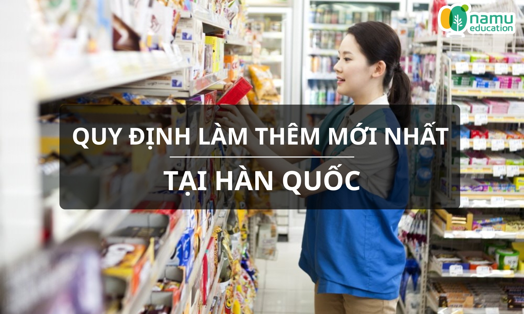 (2025) Quy định làm thêm tại Hàn Quốc: Những điều du học sinh Việt Nam cần biết để tránh vi phạm luật