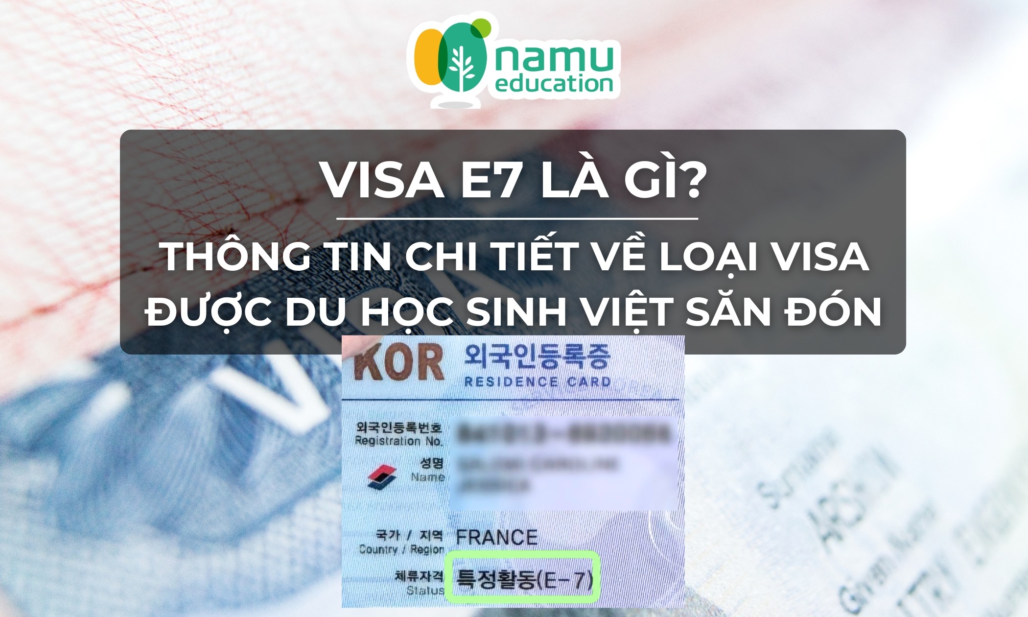 Visa E7 là gì? Thông tin chi tiết về loại visa được Du học sinh Việt săn đón