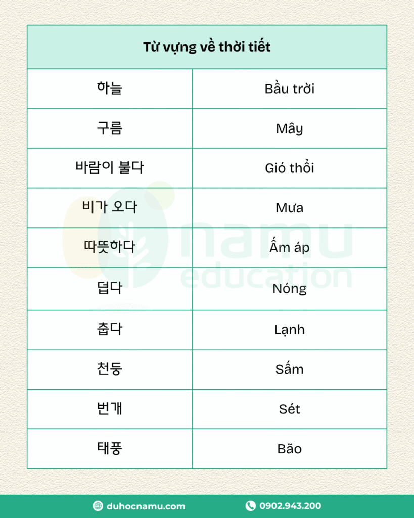 Học tiếng Hàn cùng Namu: Từ vựng theo chủ đề 29 2