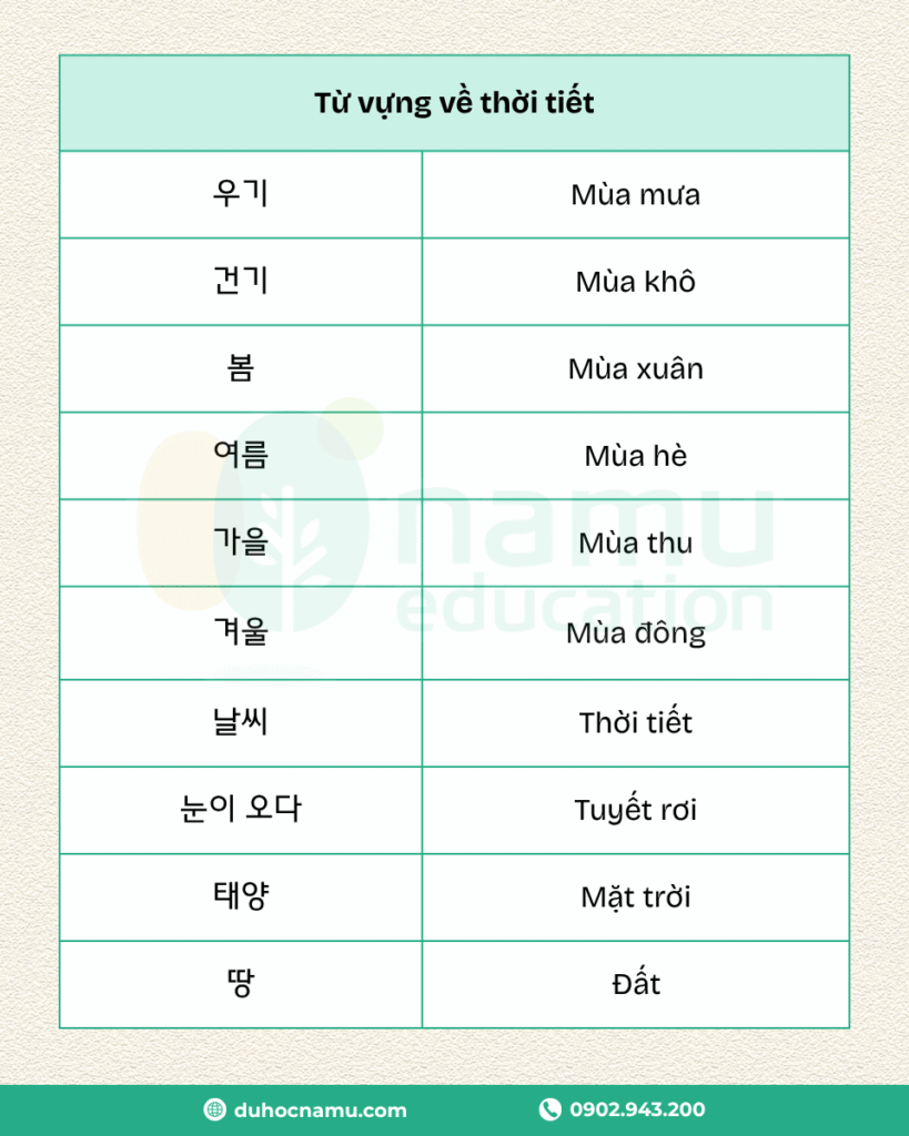 Học tiếng Hàn cùng Namu: Từ vựng theo chủ đề 30 2