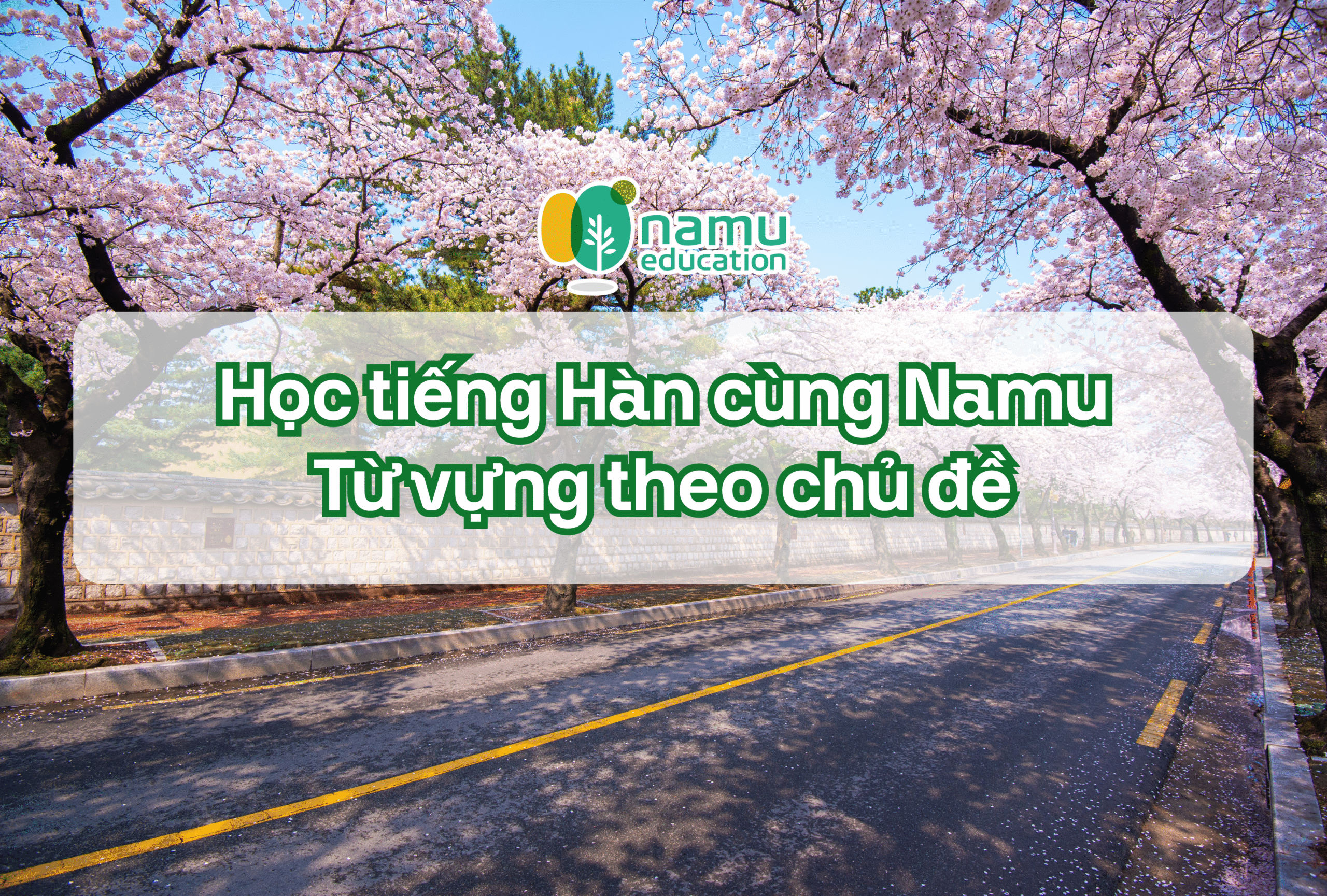 Học tiếng Hàn với từ vựng theo chủ đề: Cảm xúc, trái cây và các loài hoa