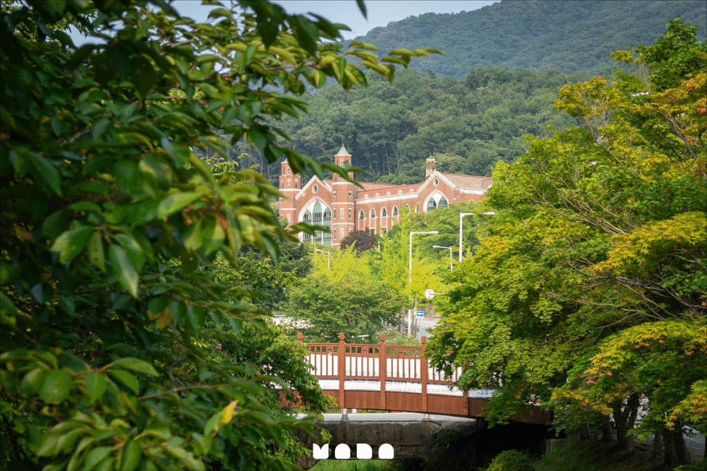 DU HỌC HÀN QUỐC 2026: DANH SÁCH TRƯỜNG TOP 2 image 9