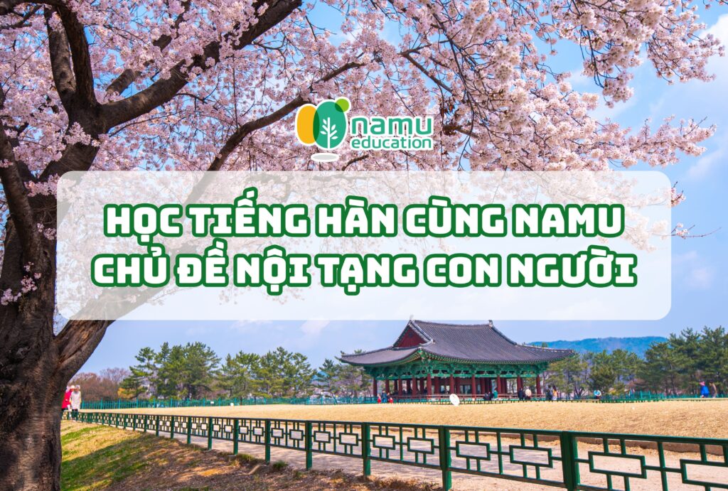 học tiếng hàn nội tạng con người