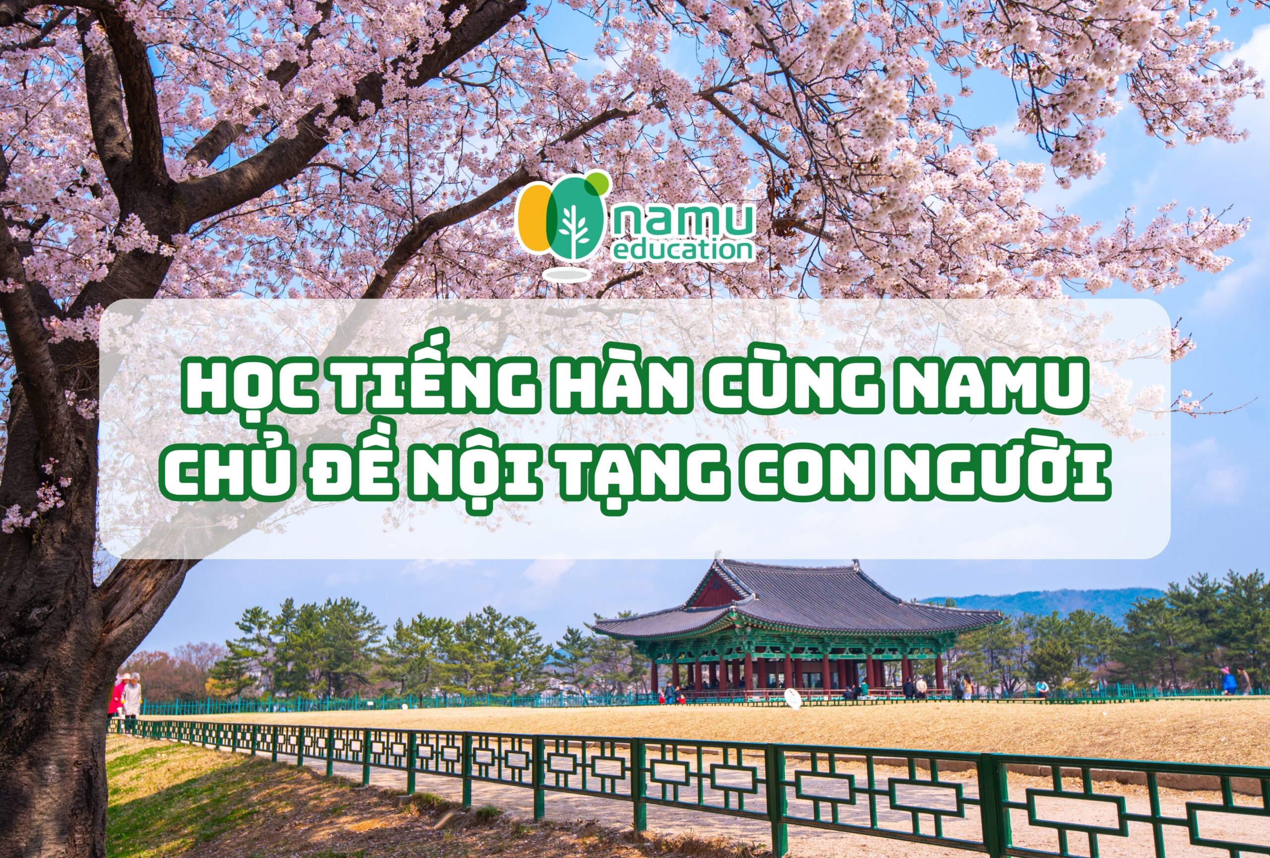 Học tiếng Hàn Namu: 90 từ vựng chủ đề nội tạng con người