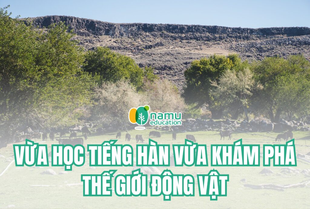 học tiếng hàn thế giới động vật