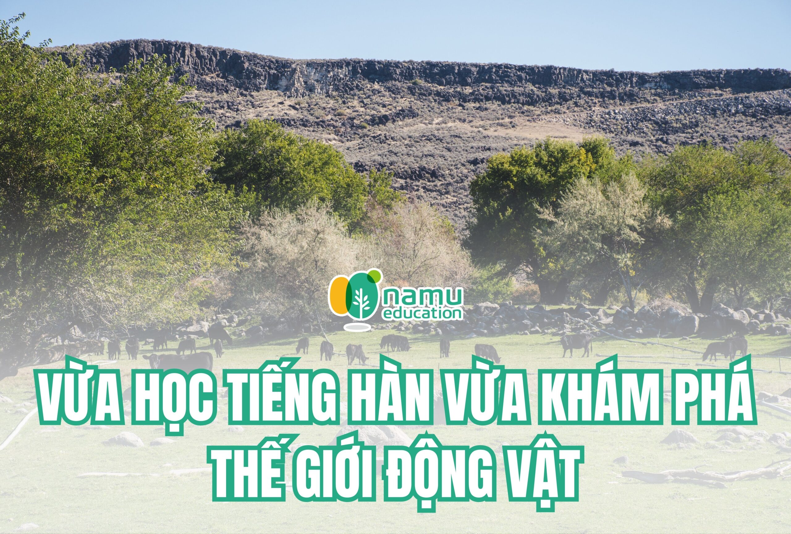 Vừa học tiếng Hàn vừa khám phá thế giới động vật
