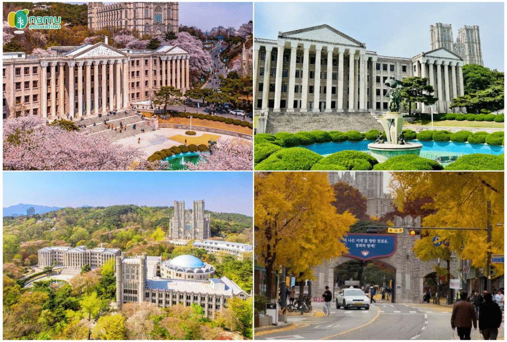 Đại học Kyung Hee (경희대학교) – Ngôi trường danh tiếng với thế mạnh đào tạo quốc tế tại Hàn Quốc 13