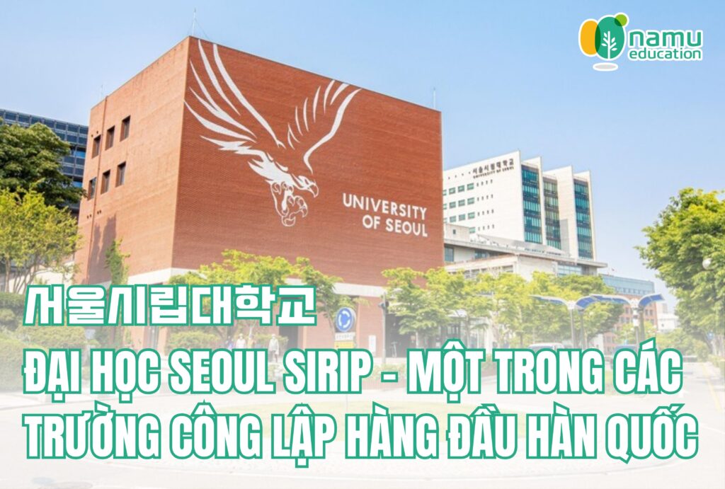 đại học seoul sirip
