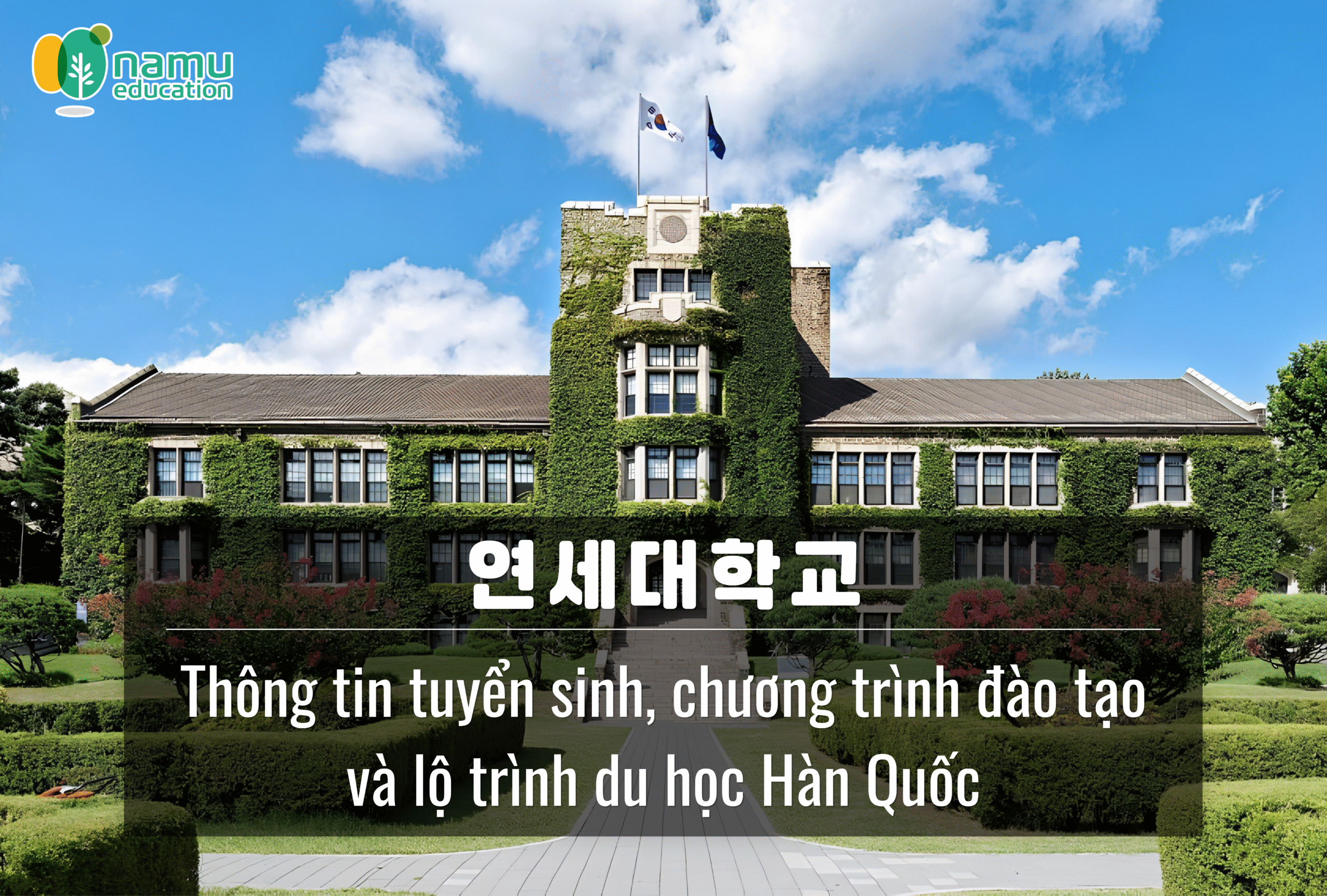 Đại học Yonsei – Thông tin tuyển sinh, chương trình đào tạo và lộ trình du học Hàn Quốc